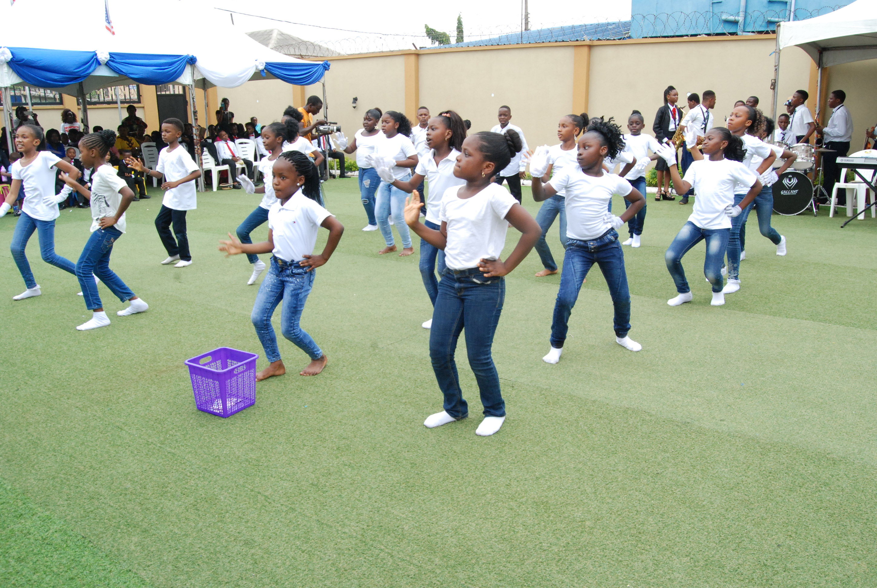 Primary Presentation